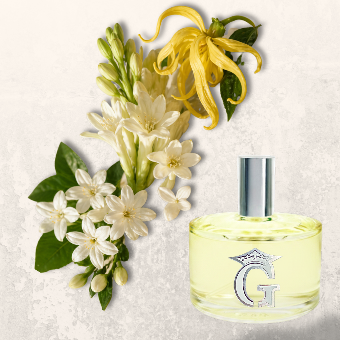 parfum%20G%20(61).png